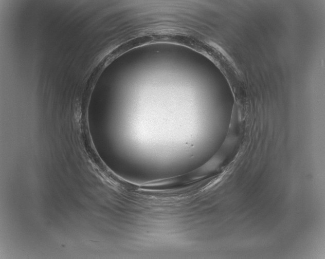 X0000071381065200607071836