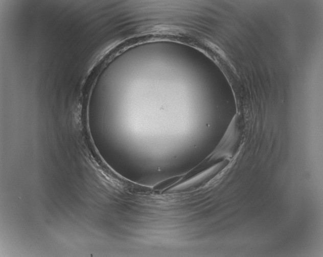 X0000071381066200607071836