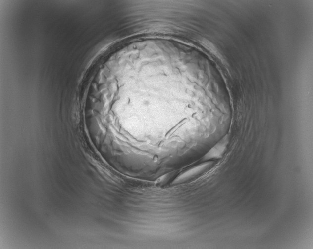 X0000071381067200607071836