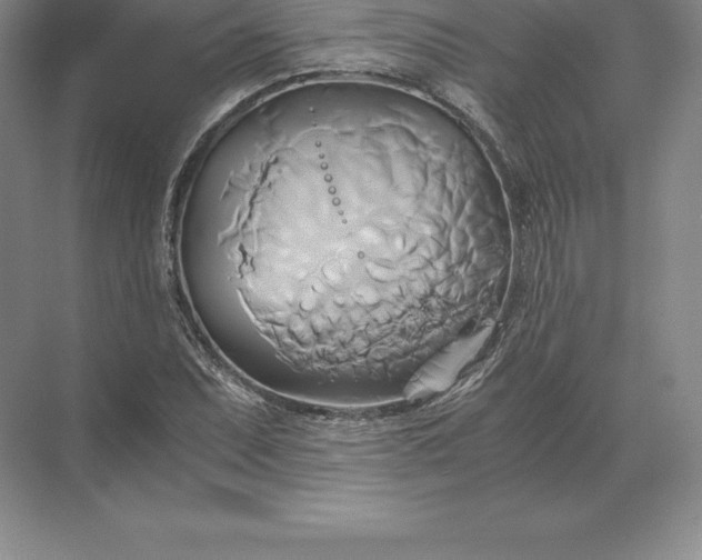 X0000071381071200607071836