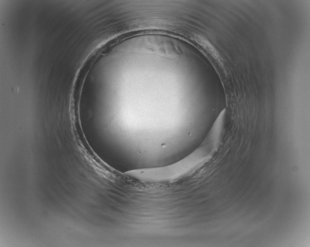 X0000071381072200607071835