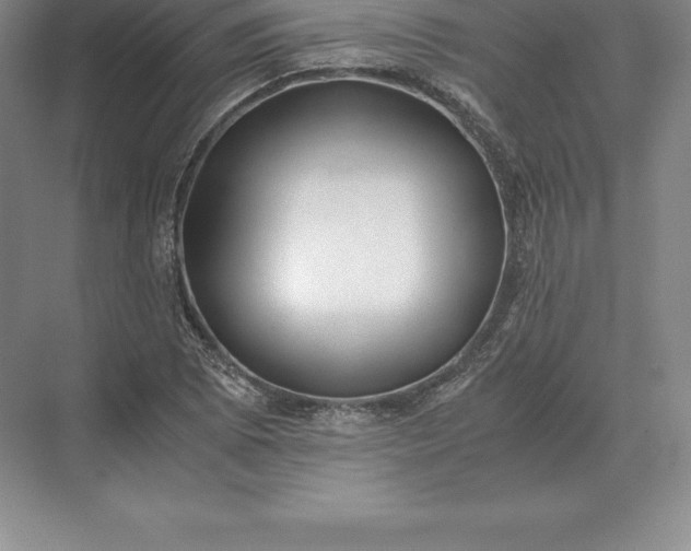 X0000071381073200607071835