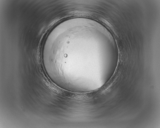 X0000071381074200607071835