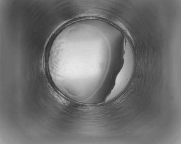 X0000071381076200607071835