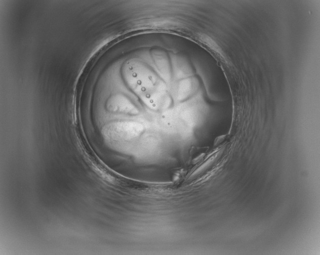 X0000071381079200607071835