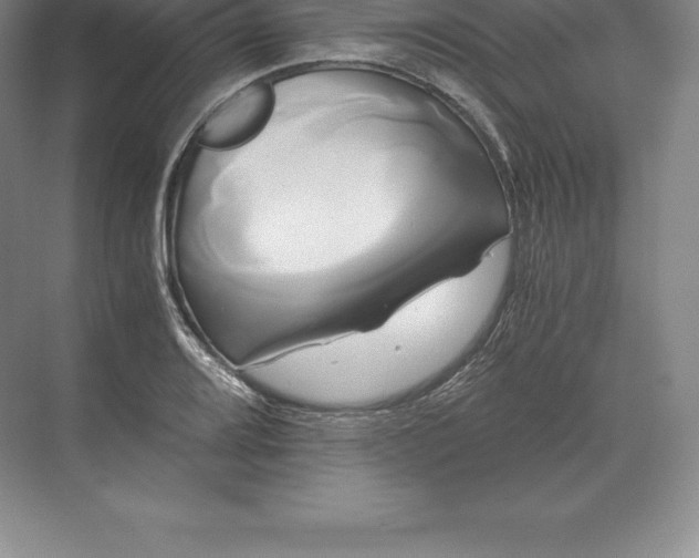 X0000071381080200607071835