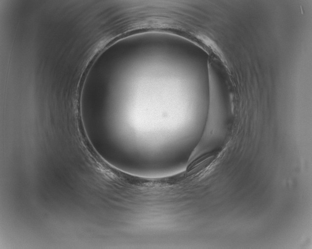 X0000071381081200607071835