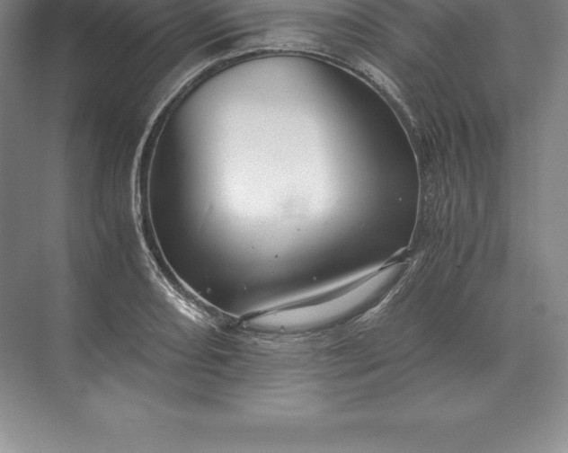 X0000071381082200607071835