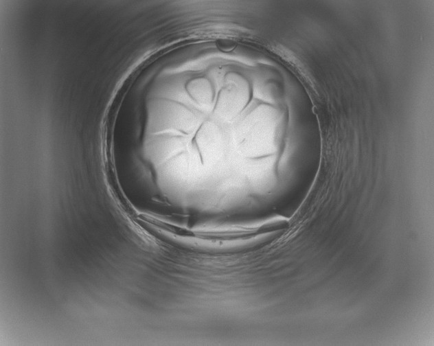 X0000071381083200607071835