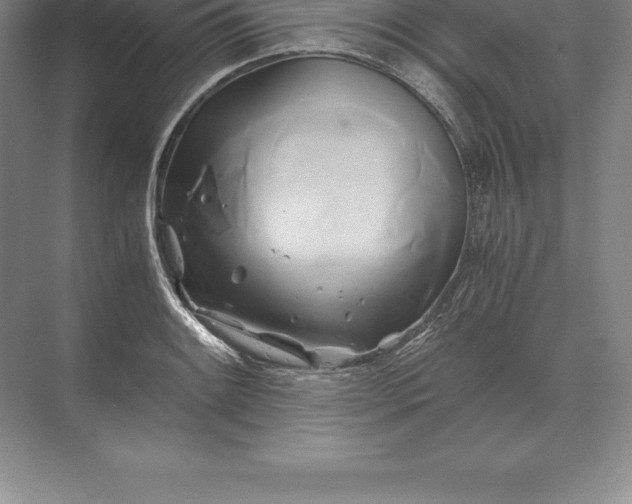 X0000071381084200607071835