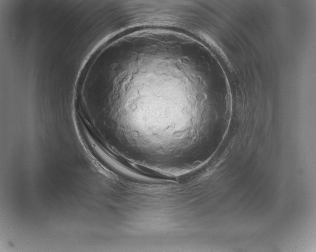 X0000071381085200607071835