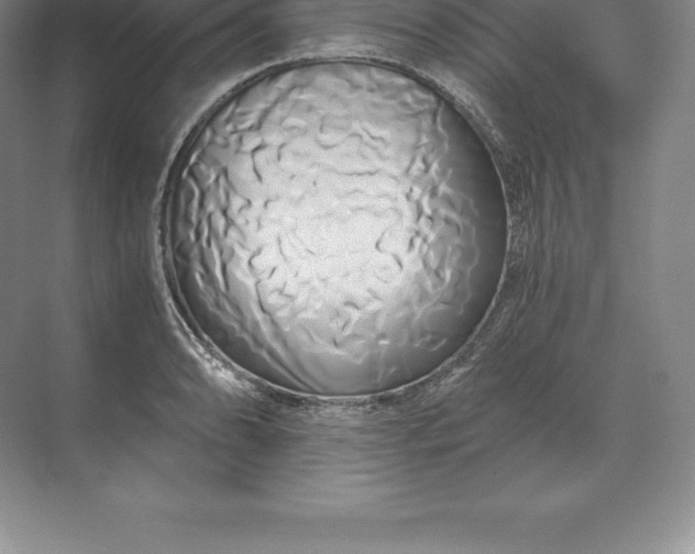 X0000071381086200607071835