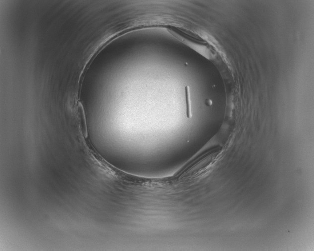 X0000071381089200607071835