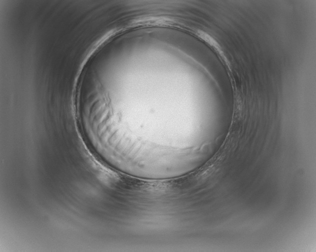 X0000071381090200607071835