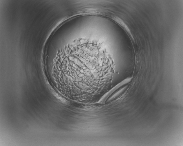 X0000071381091200607071835