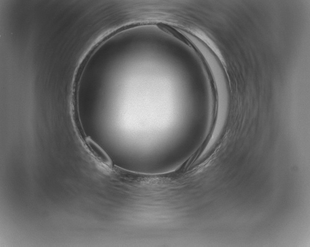 X0000071381093200607071835