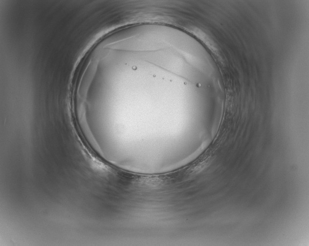 X0000071381094200607071835