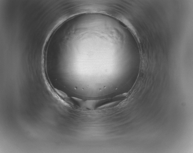 X0000071381096200607071835