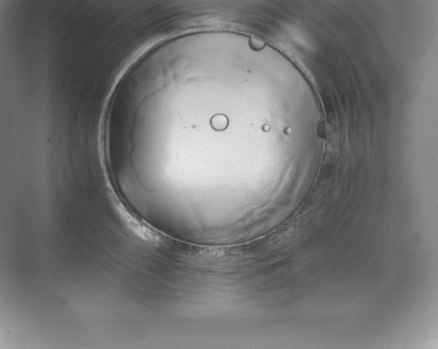 X0000071381098200607071835