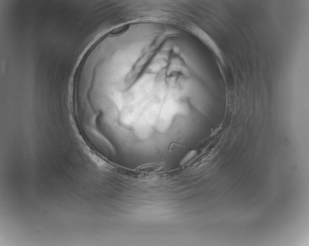 X0000071381099200607071835