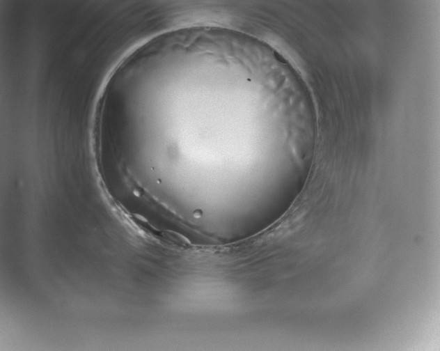 X0000071381104200607071835