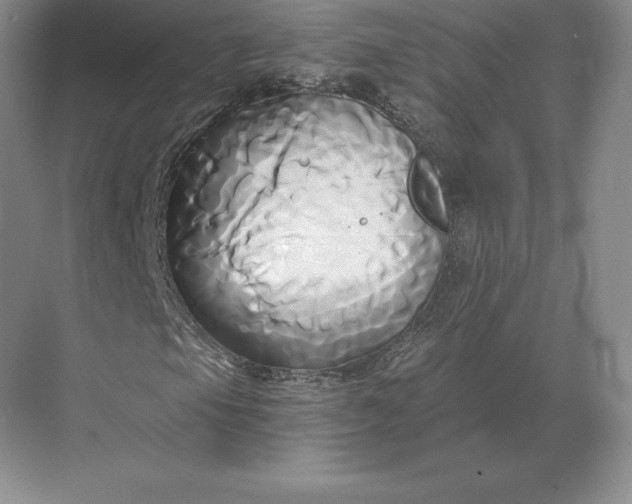 X0000071381105200607071834