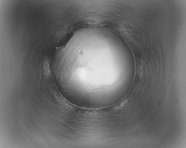 X0000071381106200607071834