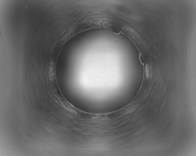 X0000071381107200607071834