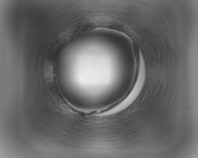 X0000071381108200607071834