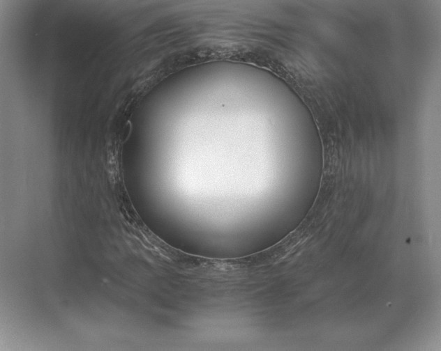 X0000071381109200607071834