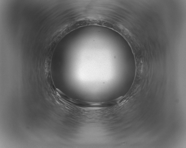 X0000071381110200607071834