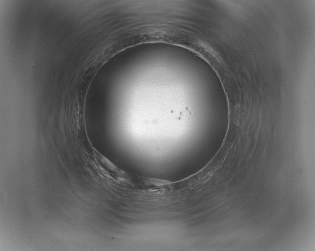 X0000071381111200607071834