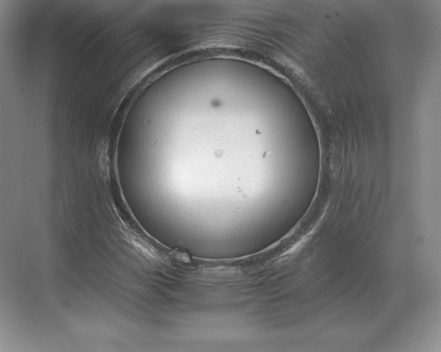 X0000071381113200607071834