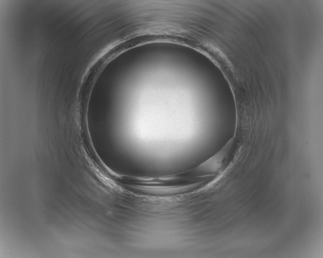 X0000071381114200607071834