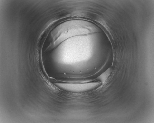 X0000071381115200607071834