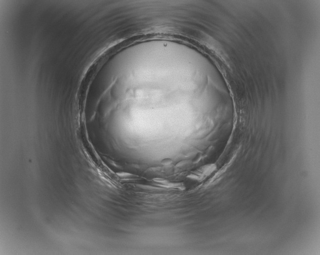 X0000071381117200607071834