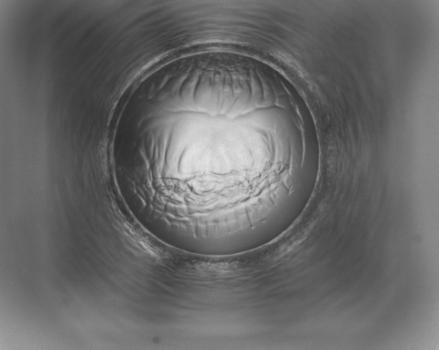 X0000071381121200607071834