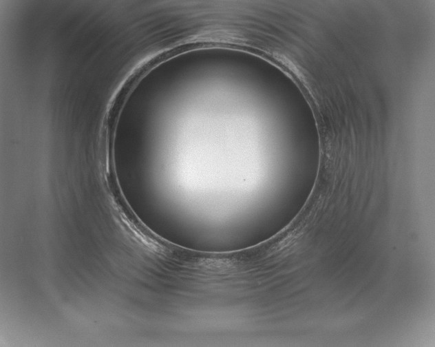 X0000071381123200607071834