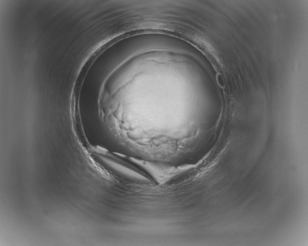 X0000071381125200607071834