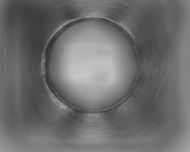 X0000071381126200607071835