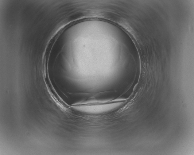 X0000071381127200607071835