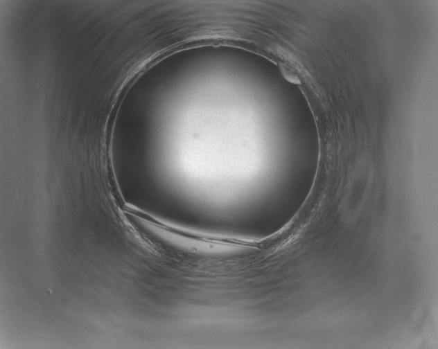 X0000071381129200607071835