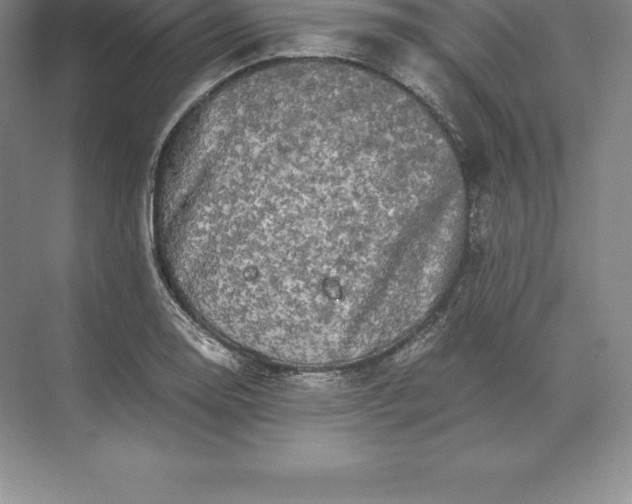 X0000071381130200607071835