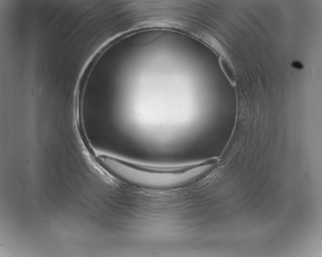 X0000071381132200607071835