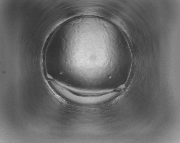 X0000071381133200607071835