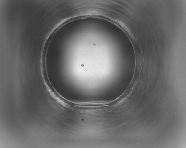 X0000071381134200607071835