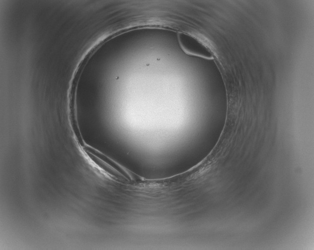 X0000071381135200607071835