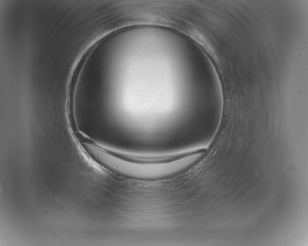 X0000071381136200607071835