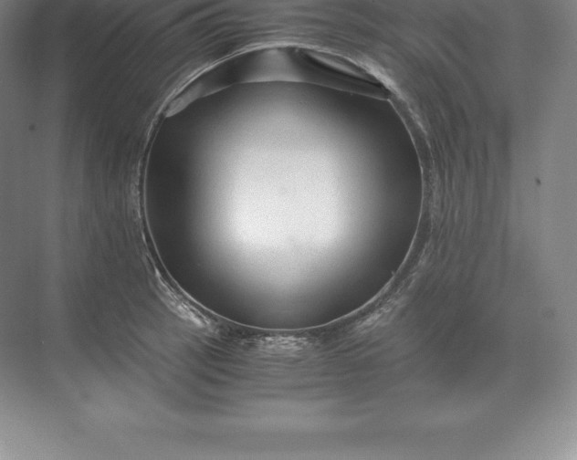 X0000071381137200607071835