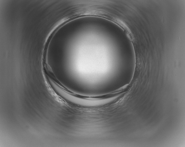 X0000071381138200607071835